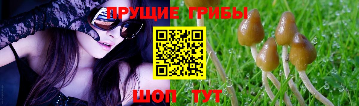 Гудермес  Галлюциногенные грибы GOLDEN TEACHER  Вход с VPN 